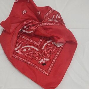 Red Paisley Bandana